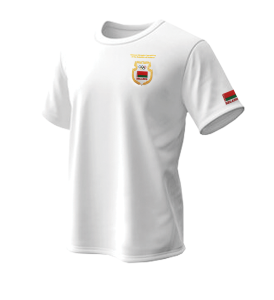 Майка шитая SHEVRON.BY6